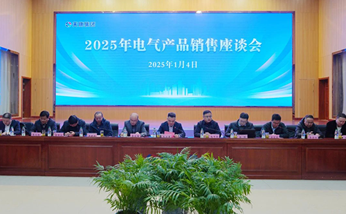 安徽天康集團(tuán)2025年電氣產(chǎn)品銷售座談會順利召開
